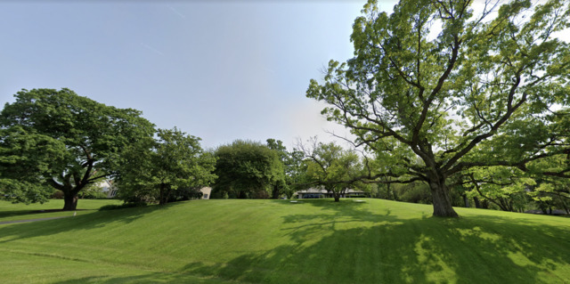 a view of a grassy field with trees