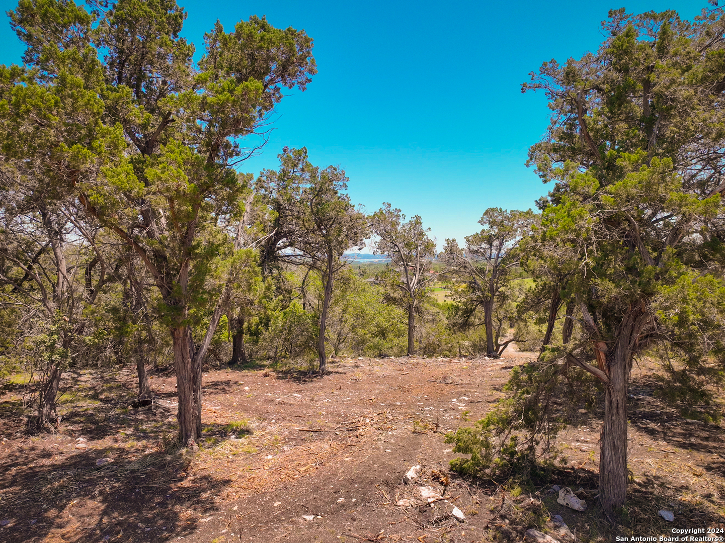 a view of outdoor space and trees