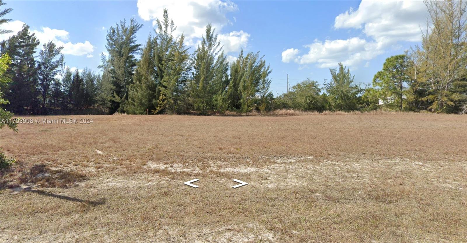 a view of a field with trees in background