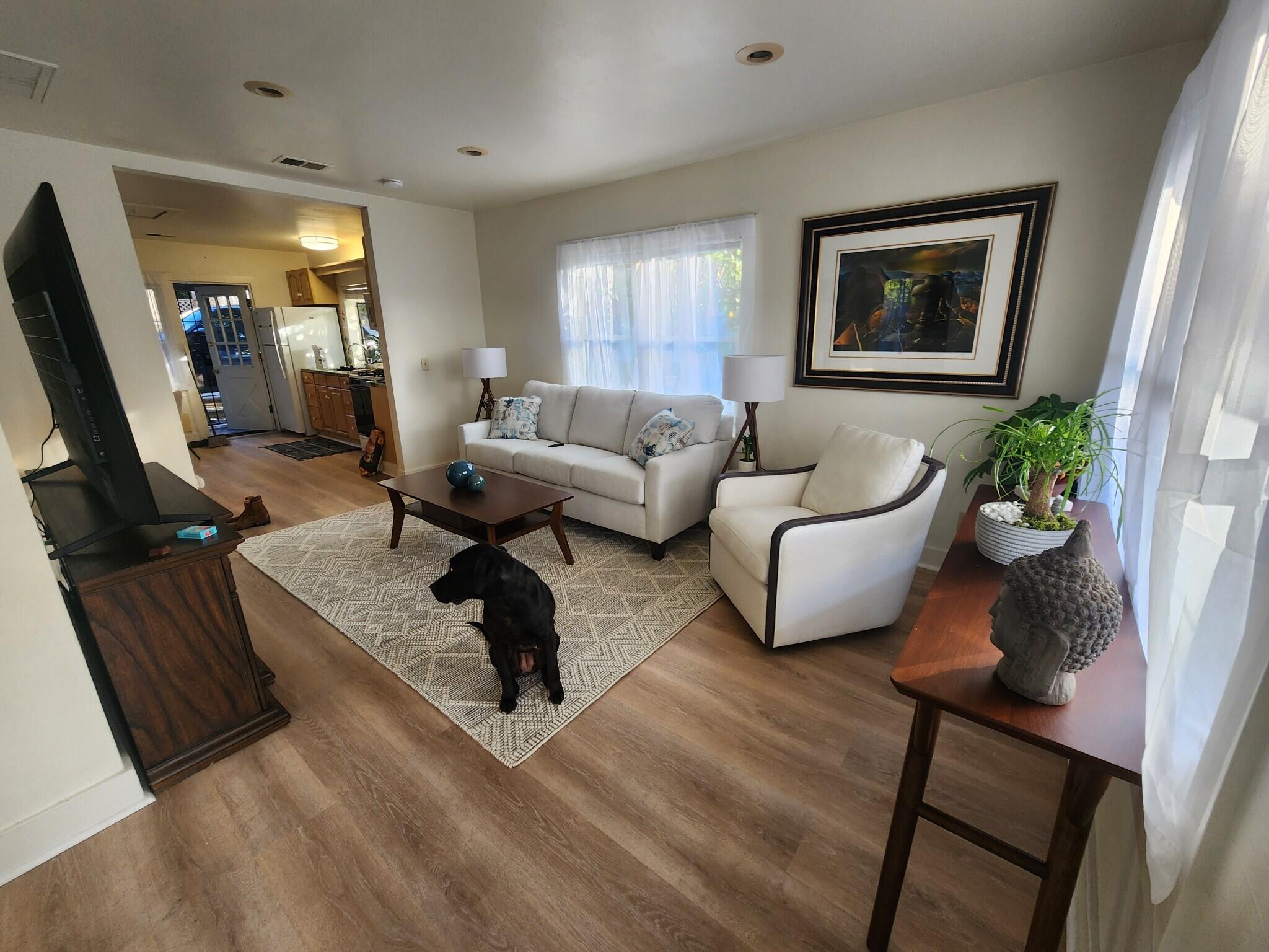 a living room with furniture and a potted plant