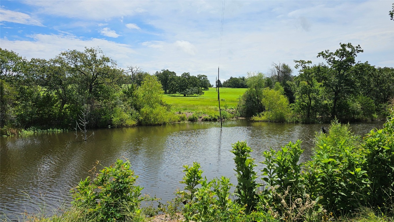 a view of a lake with a large trees