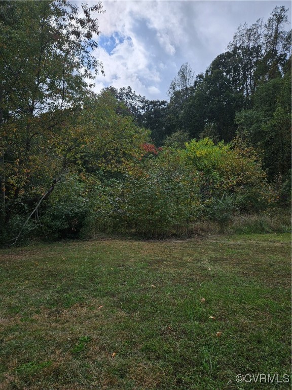 a view of a field with a trees