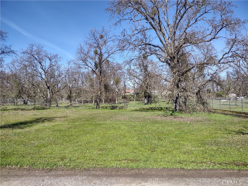 a big yard with lots of green space