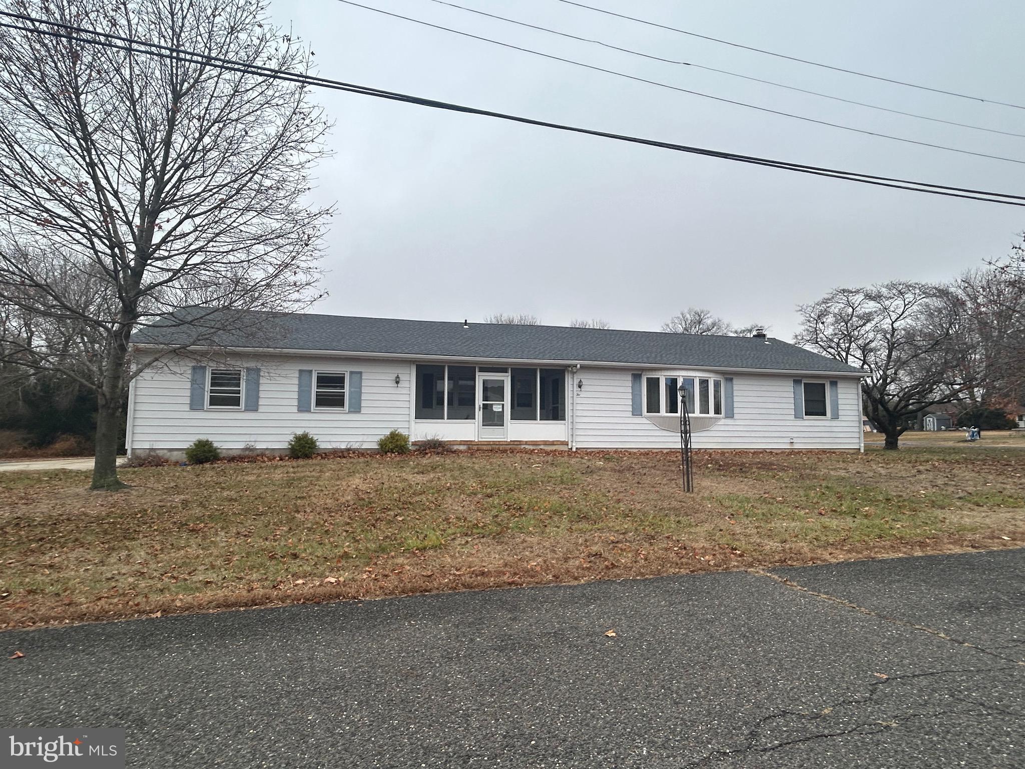 a view of a house with a large tree in front of it