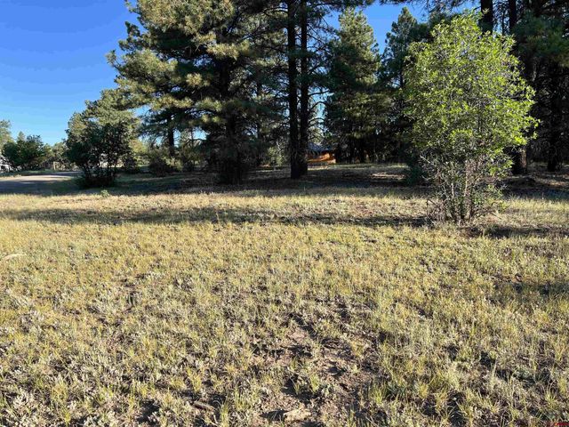 $225,000 | 1336 Buttress Avenue | Pagosa Lakes