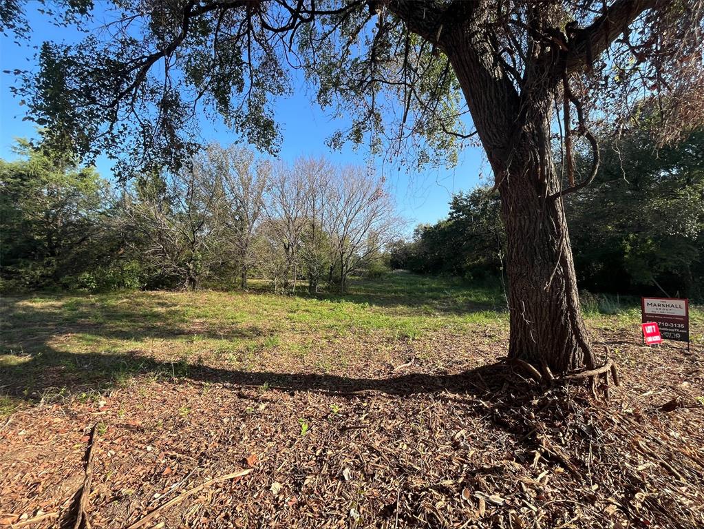 a view of a yard with large trees