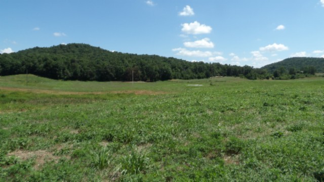 a view of field with lush green space