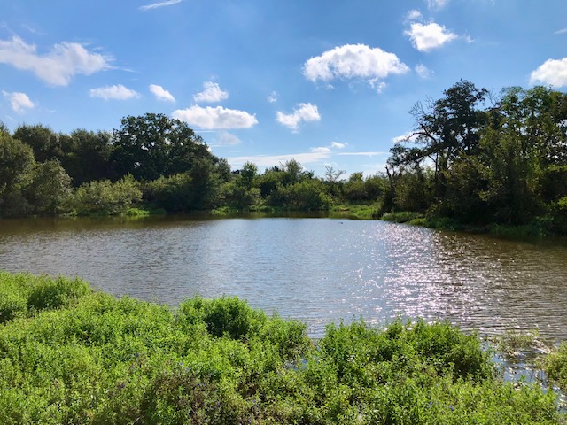 a view of a lake with a yard