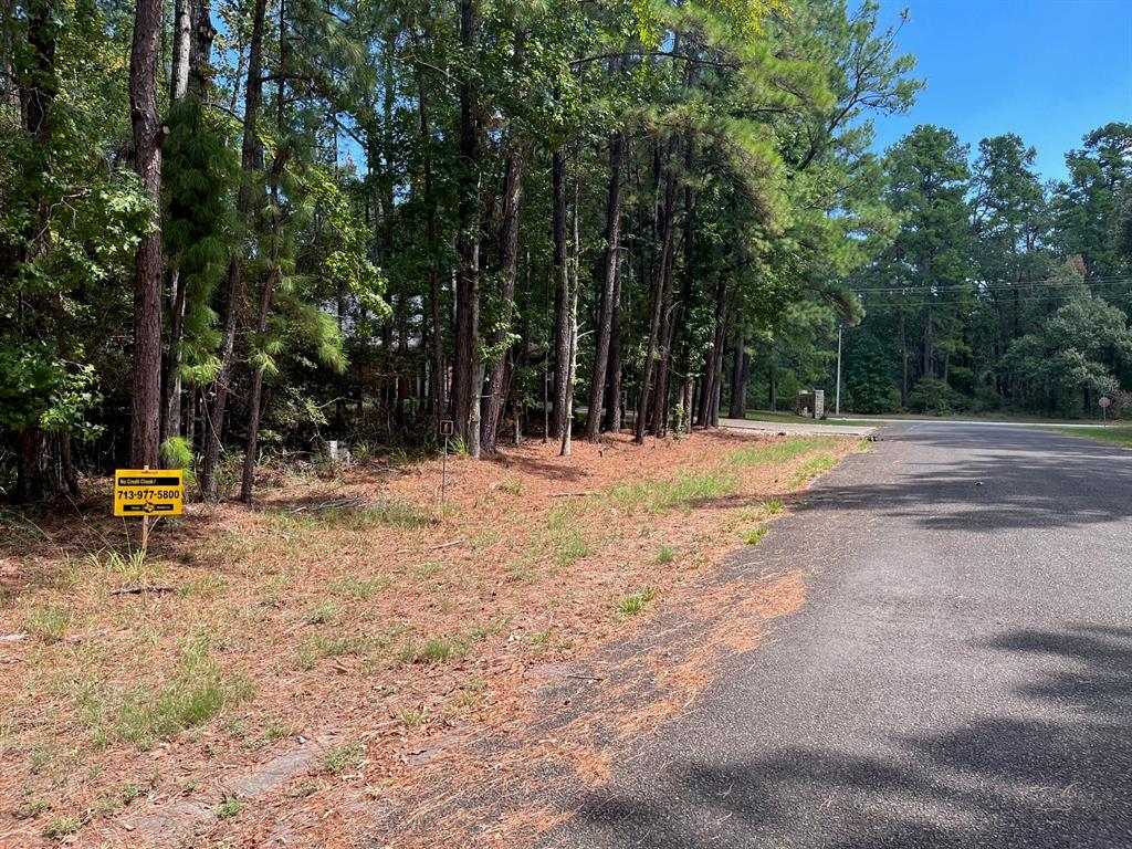 a view of road with trees