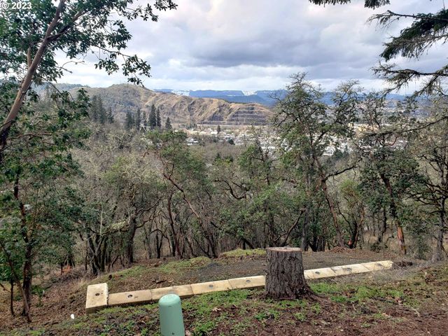 $45,000 | 1365 Southeast Laurel Court | Roseburg