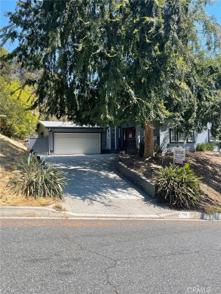 a view of a yard with plants and trees