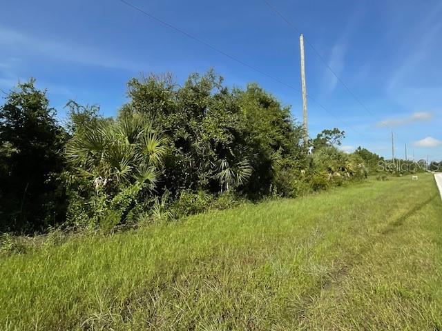 a view of a field with a tree