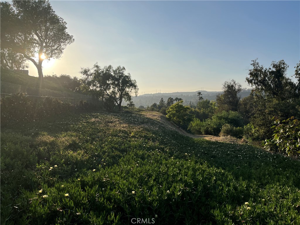 a view of a field of grass and trees