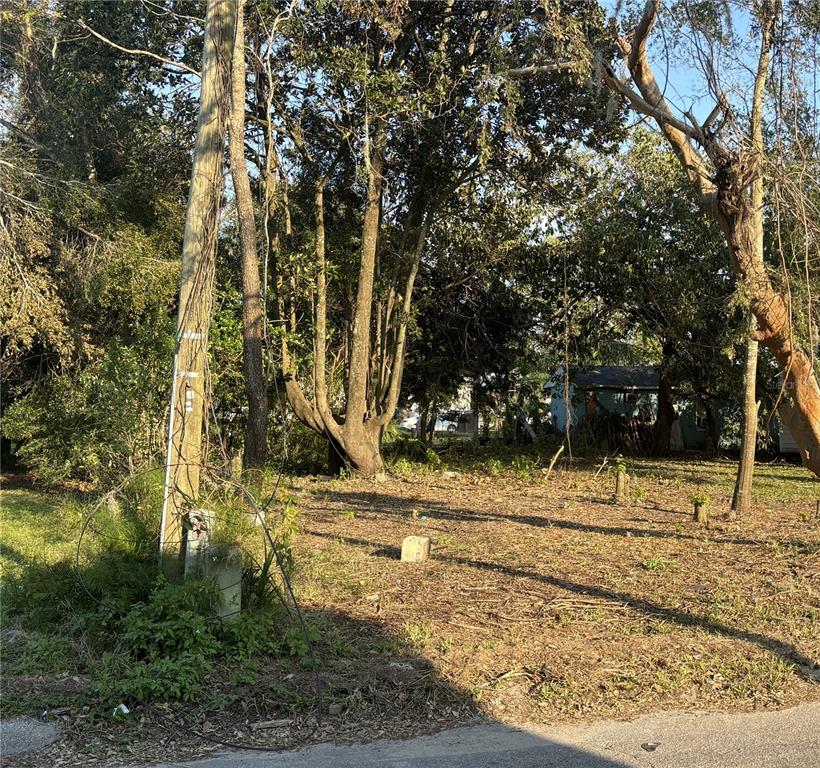 a view of a yard with trees