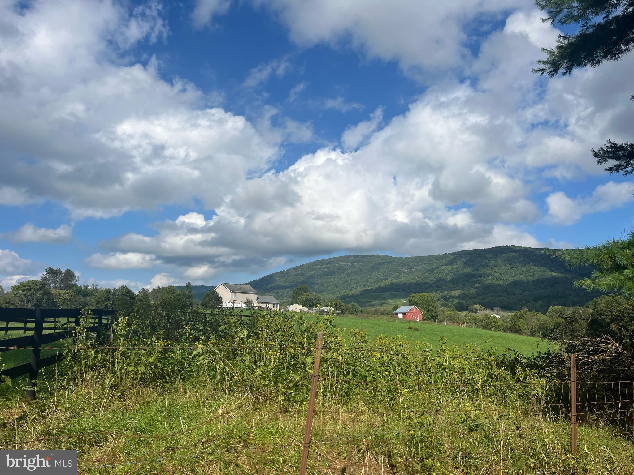 a view of a city from a yard