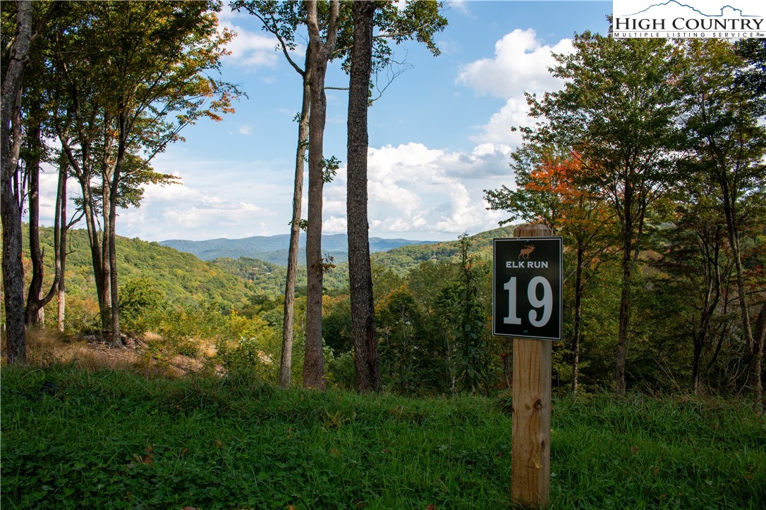 a view of a street sign under a large tree