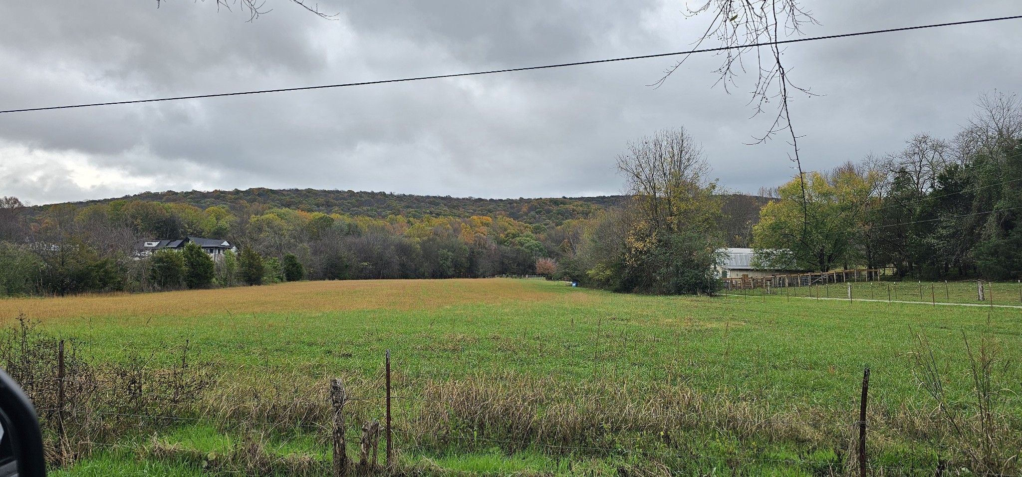 a view of a yard