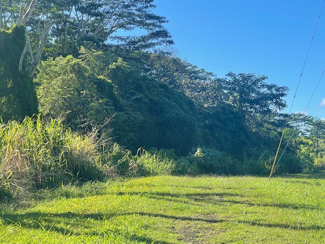 a view of a golf course with green field