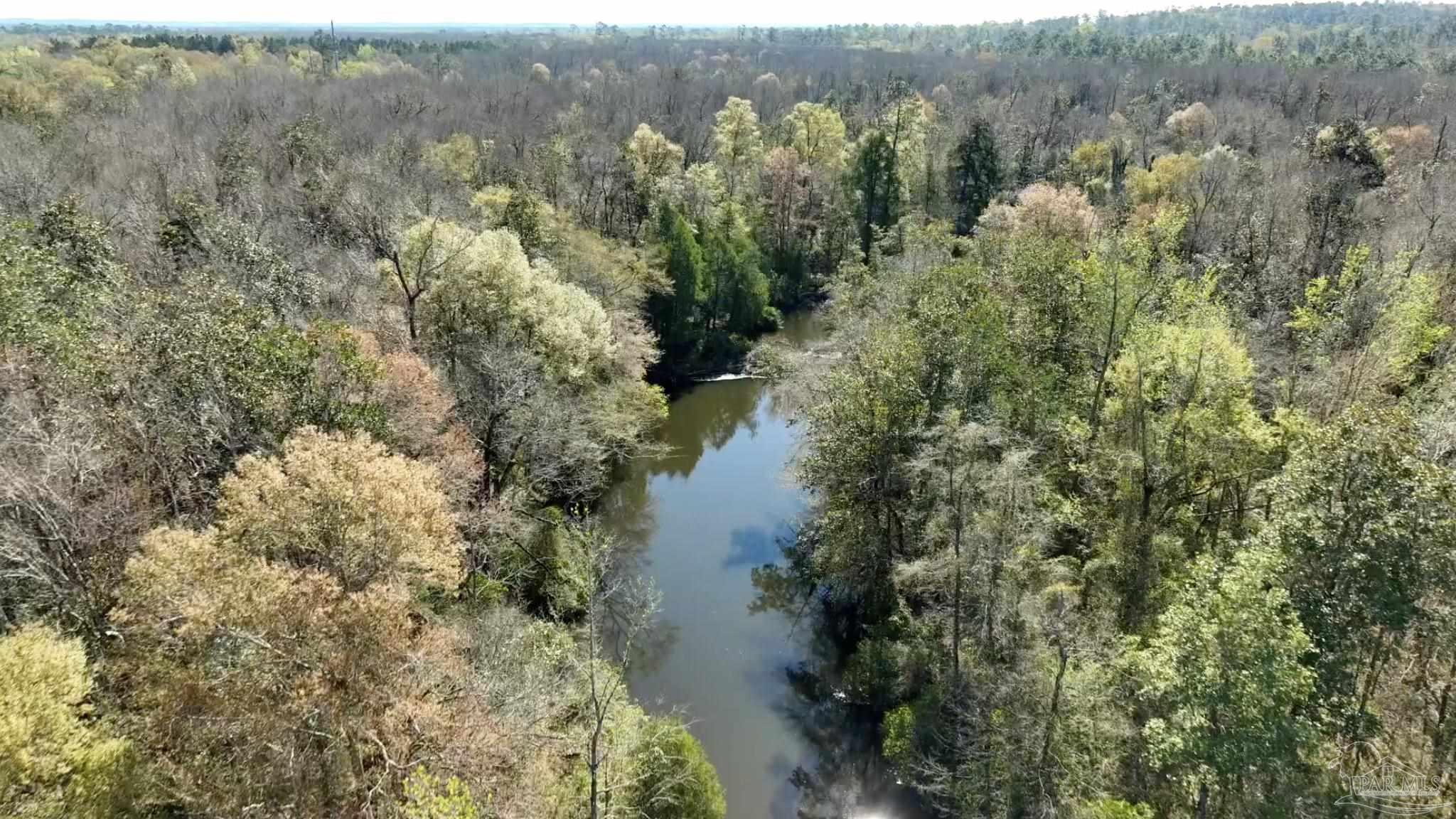 a view of a forest with an outdoor space