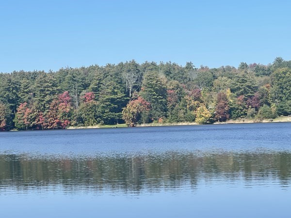 a view of lake