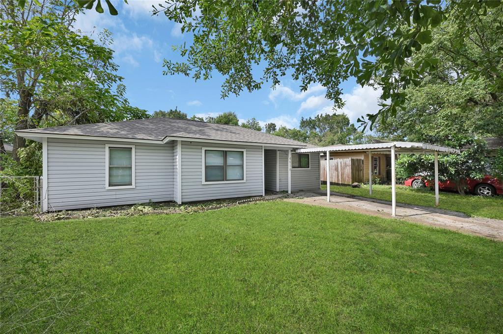 a backyard of a house with plants and large tree