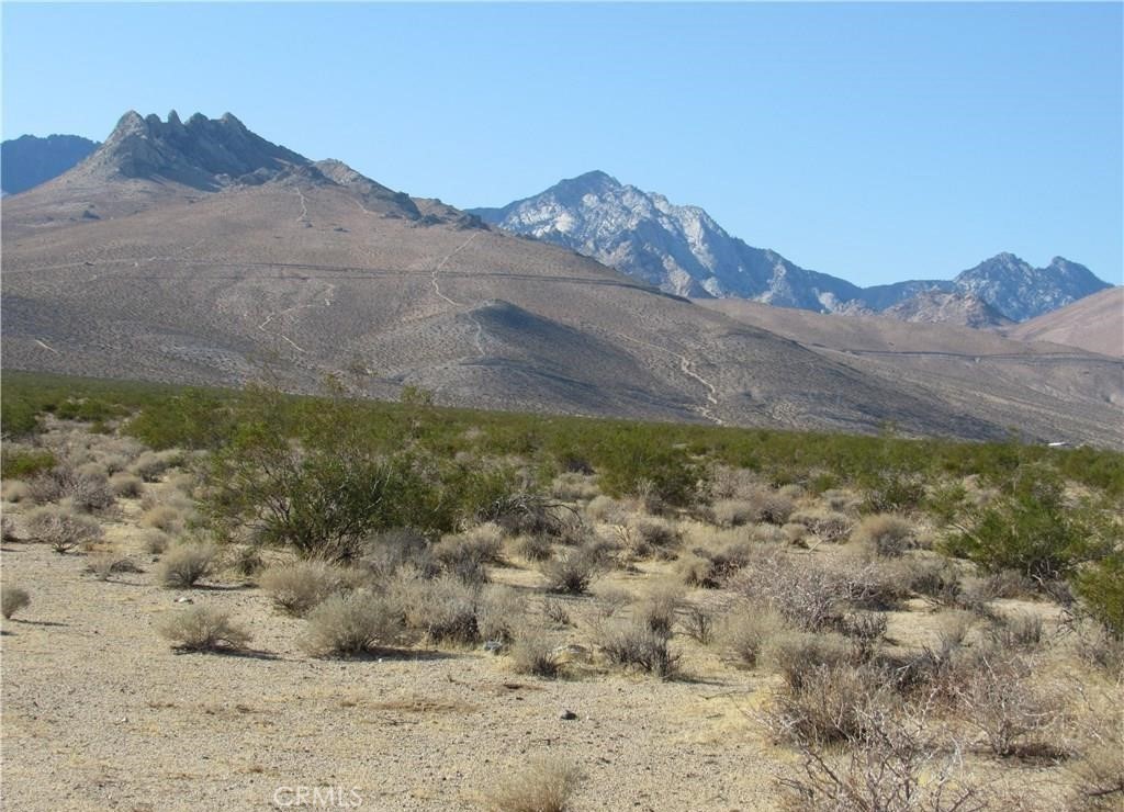 a view of a dry yard with mountains in the background