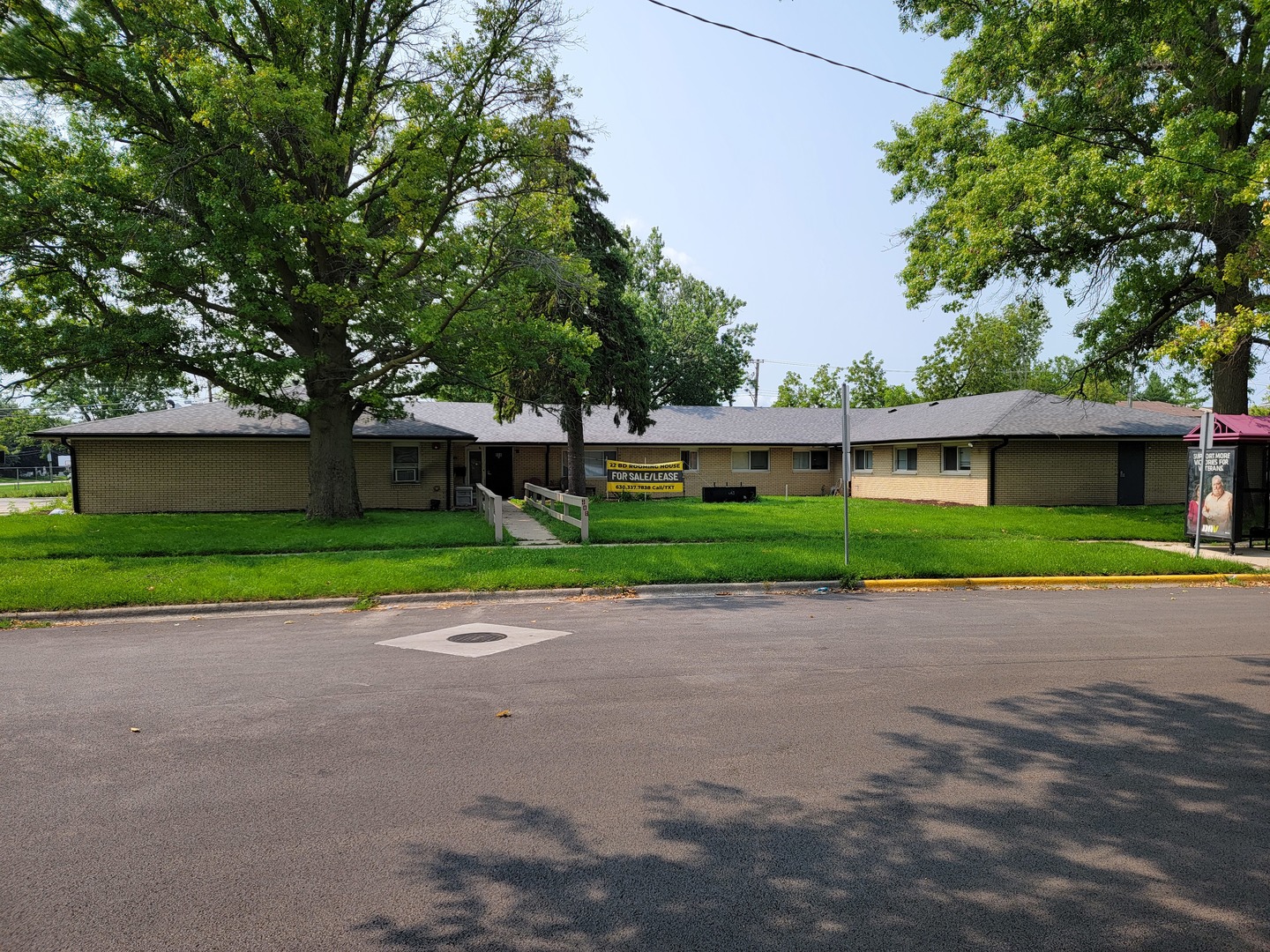 a front view of a house with a yard and a large tree