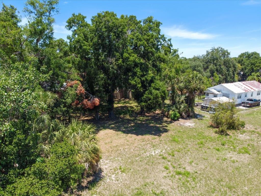 a view of a yard with plants and large trees