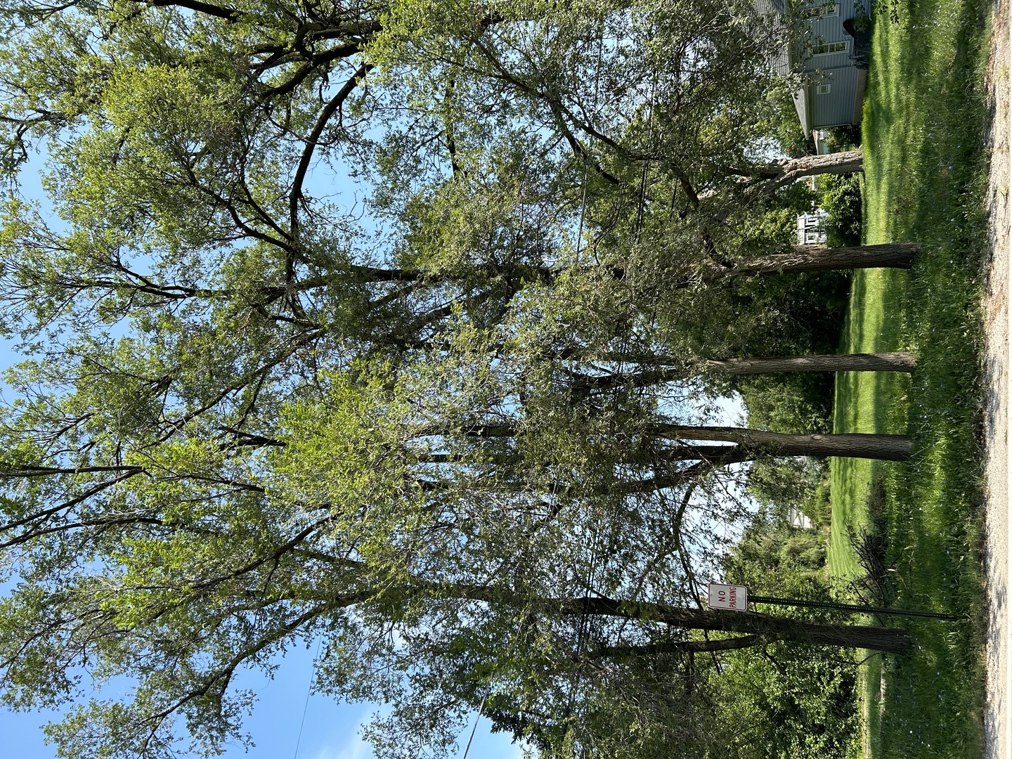 a view of a forest from a window