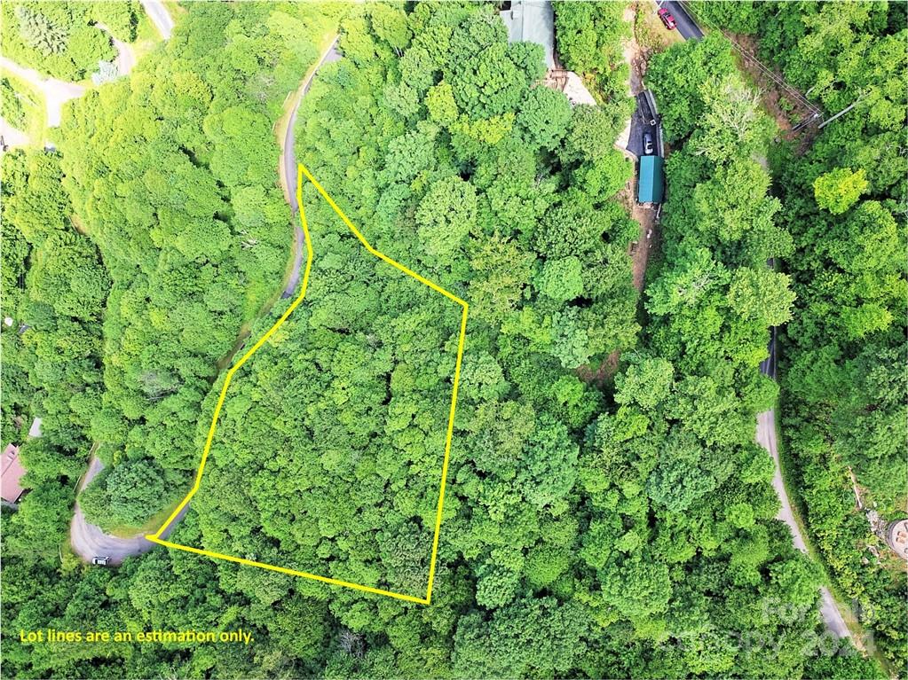 a view of a lush green forest with large trees