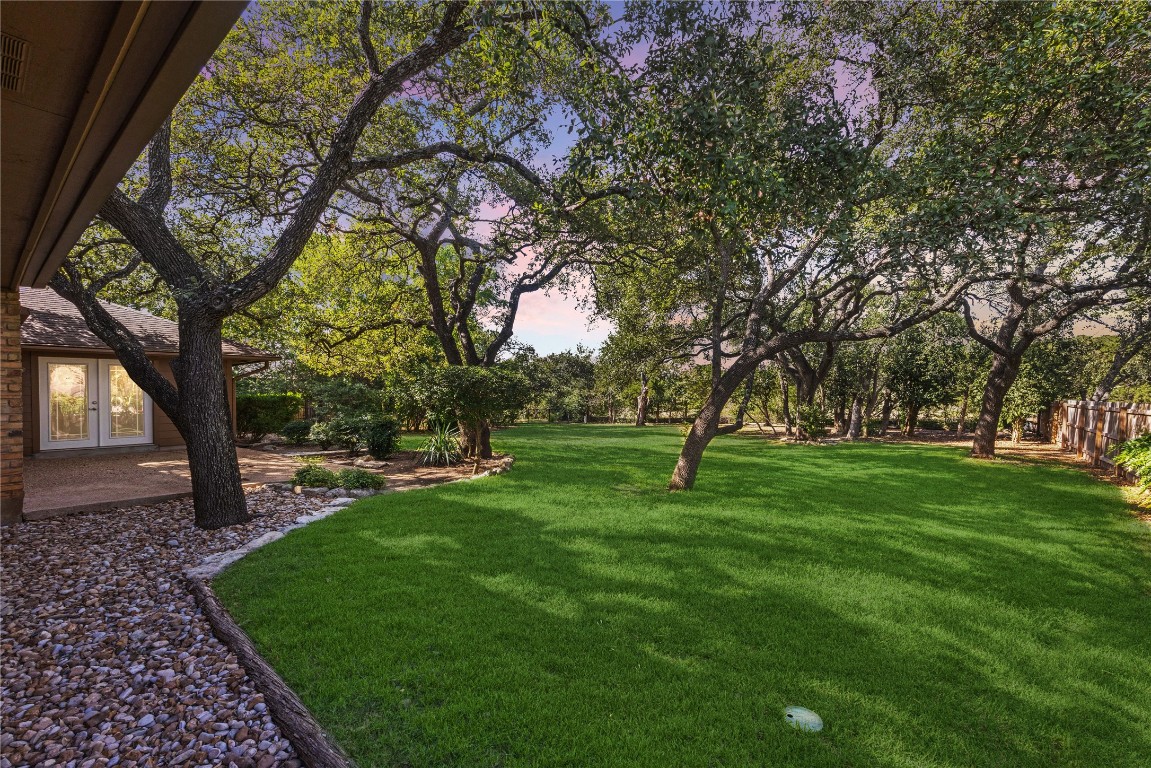 a view of a backyard with large trees