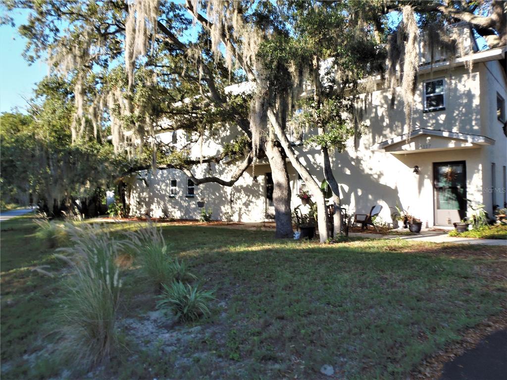 a view of a park in front of a building