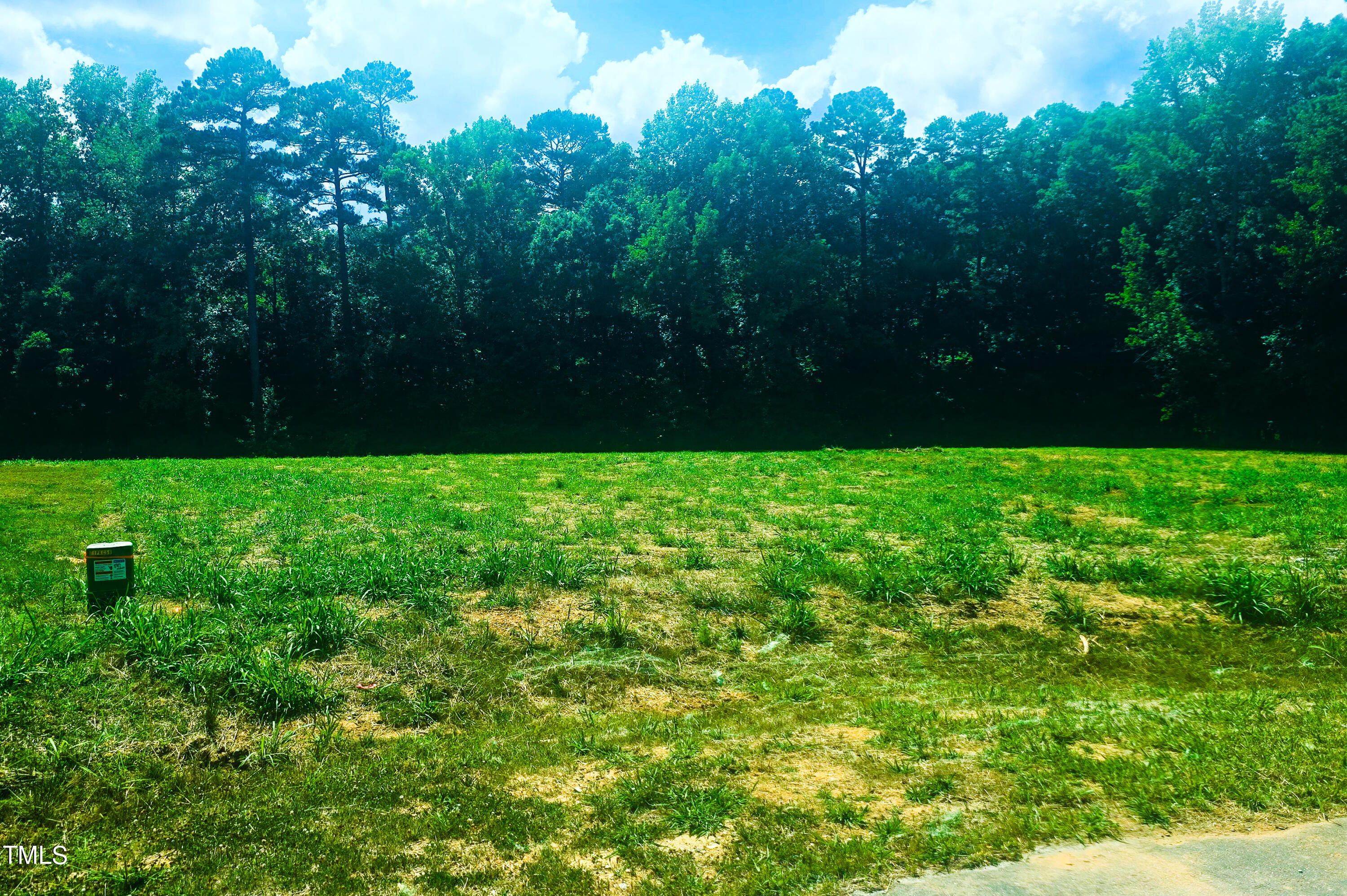 a view of garden with trees