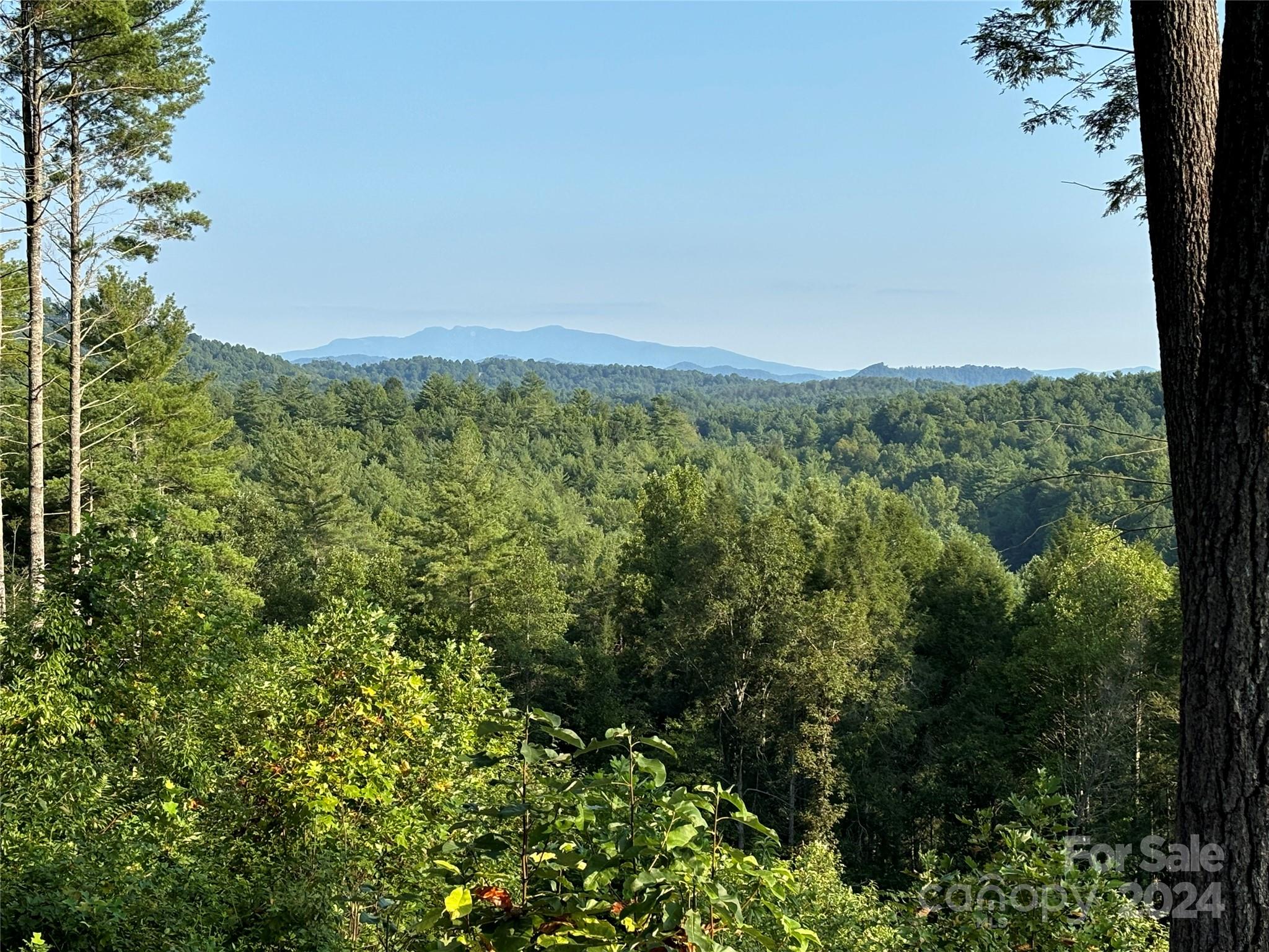 a view of a green field with lots of bushes