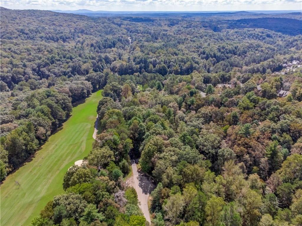 a view of a forest with a yard