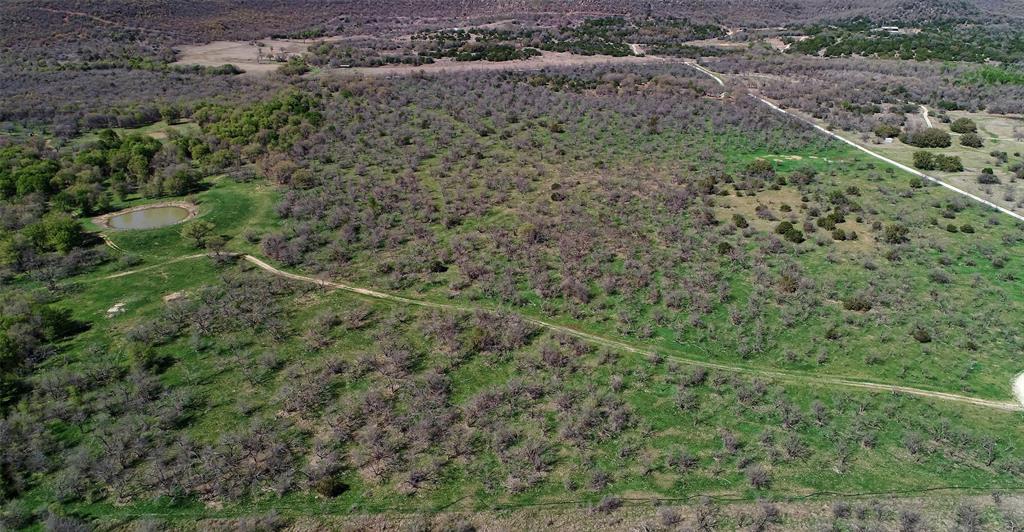 a view of a field with a forest