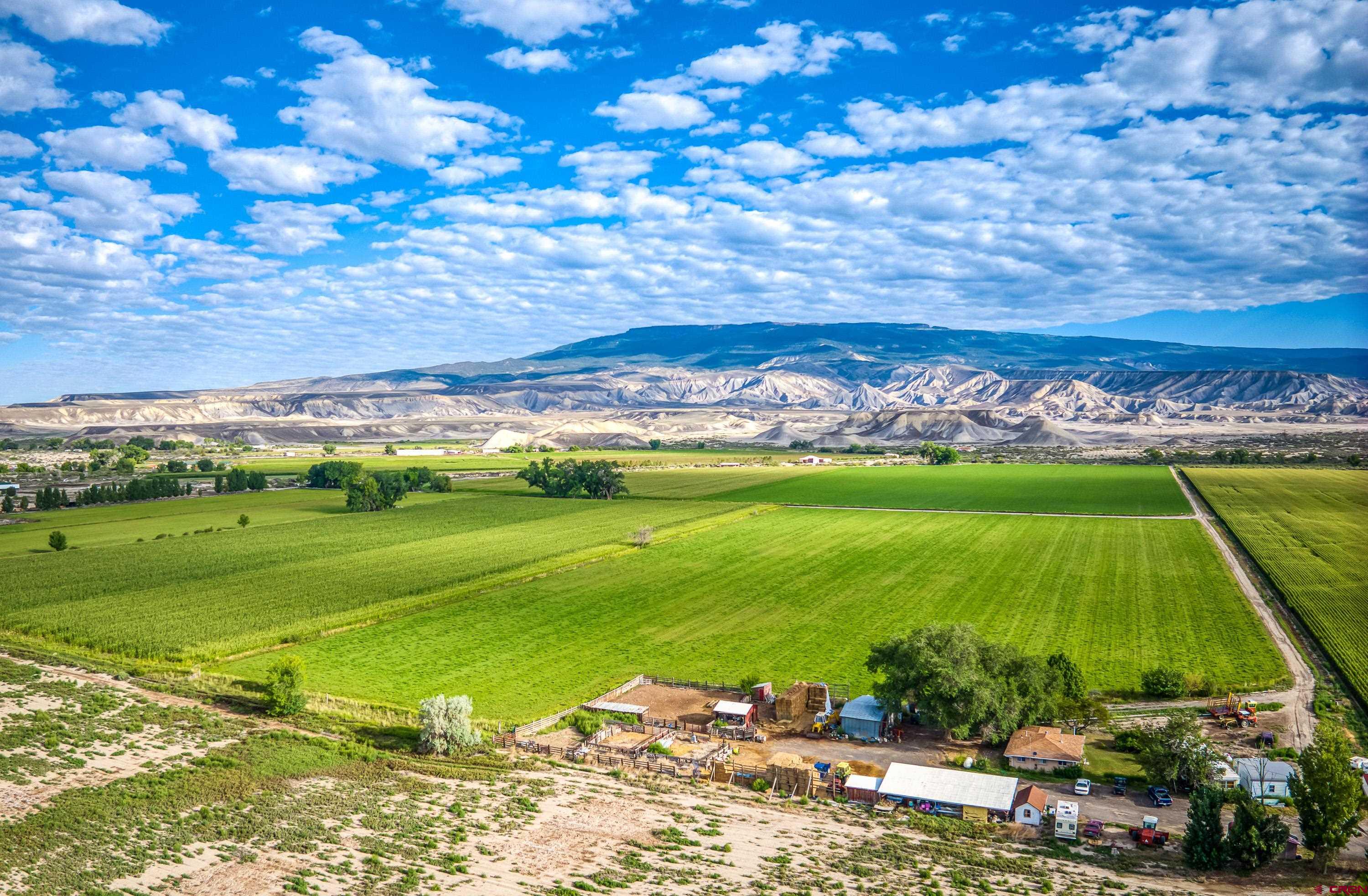 a view of a field with an ocean