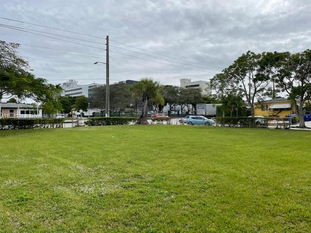 a view of a park with large trees