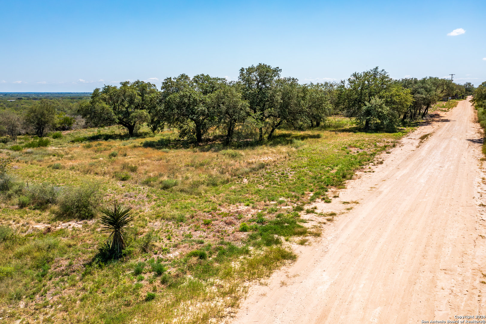 a view of a yard with trees