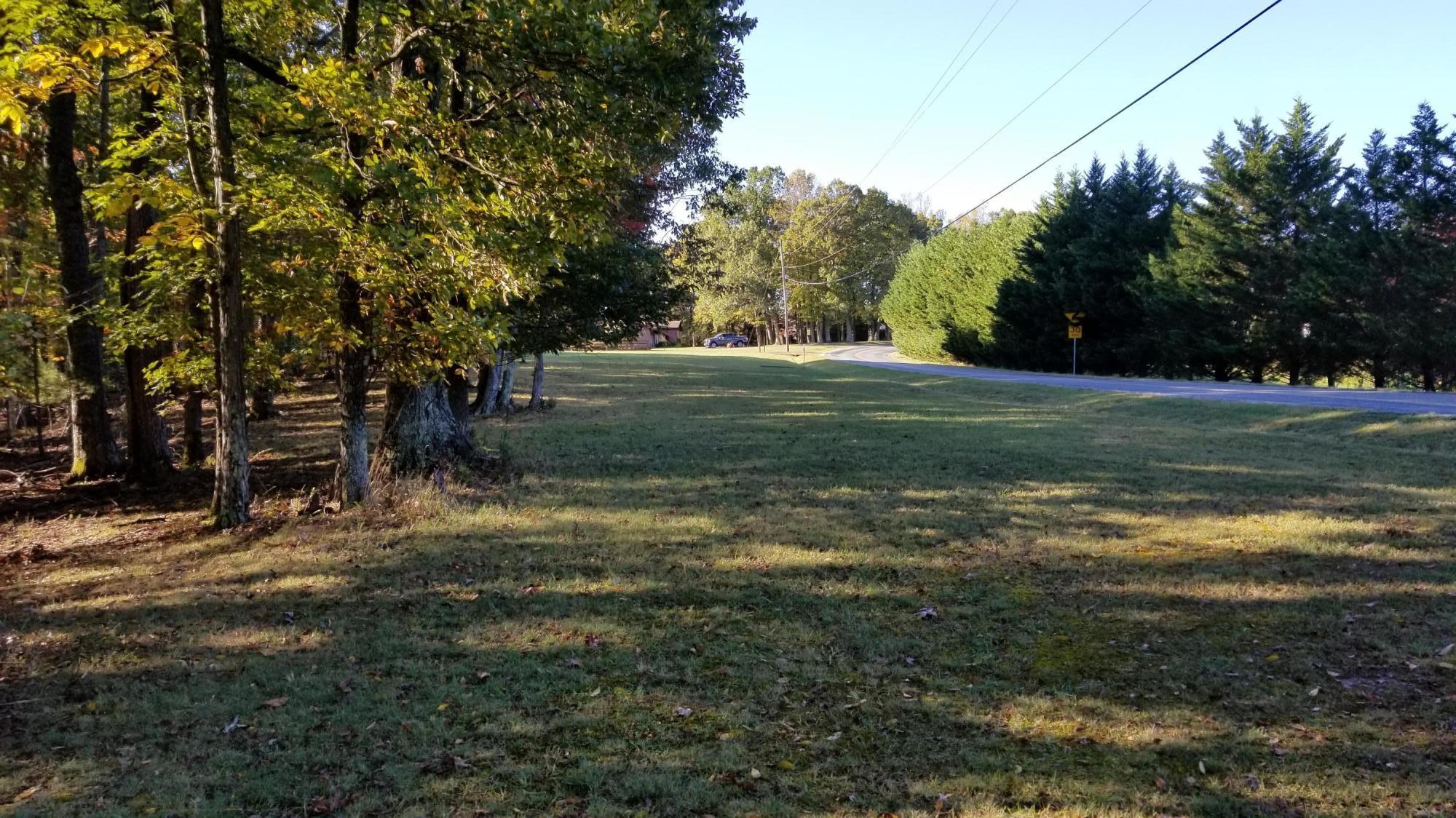 a big yard with lots of green space