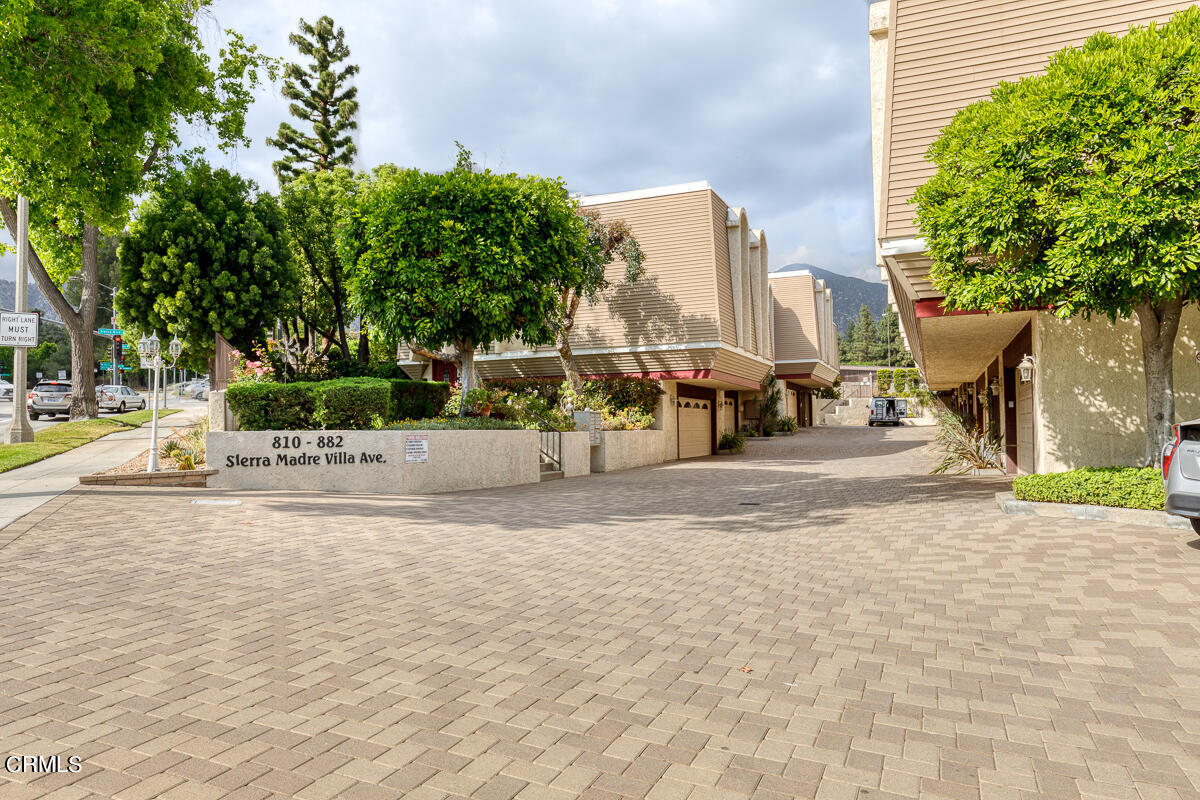 a view of a yard with plants