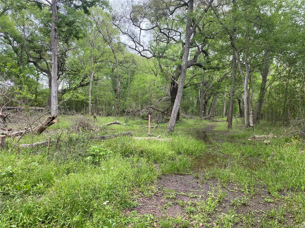 a view of outdoor space with green field and trees