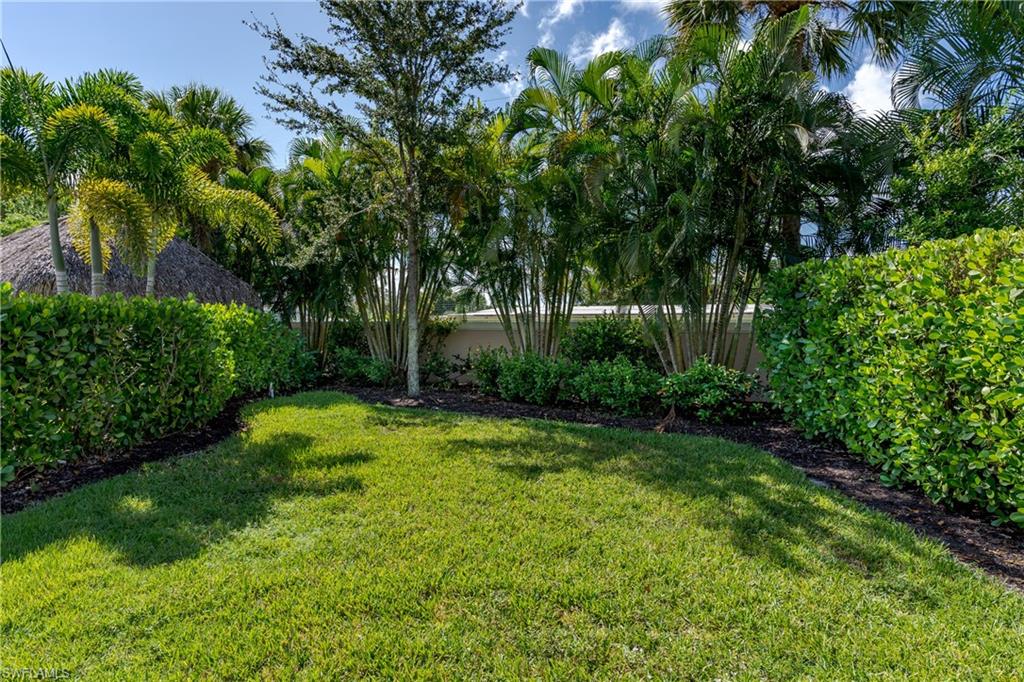 a view of a backyard with large trees