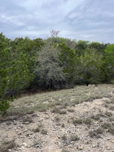 a view of a yard