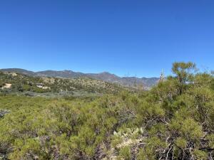 a view of a mountain