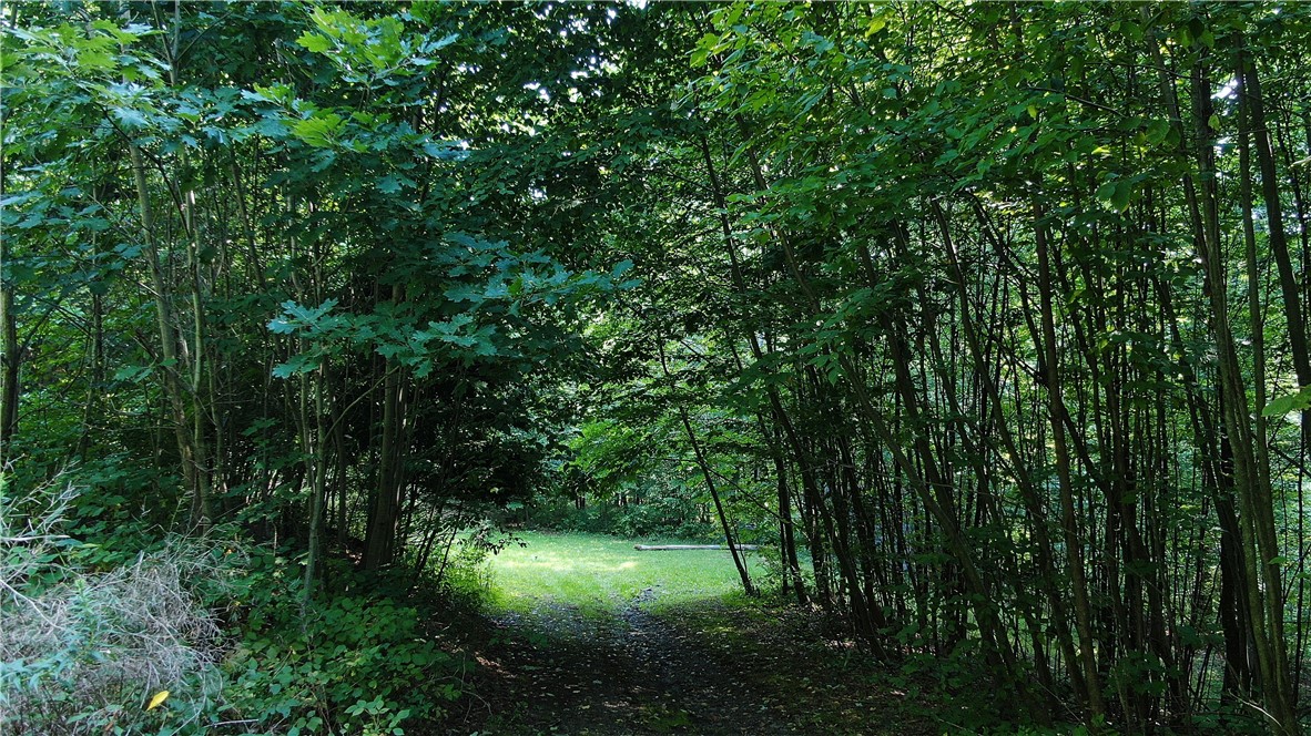 Driveway Leads to Open Flat Land (Ideal for Double