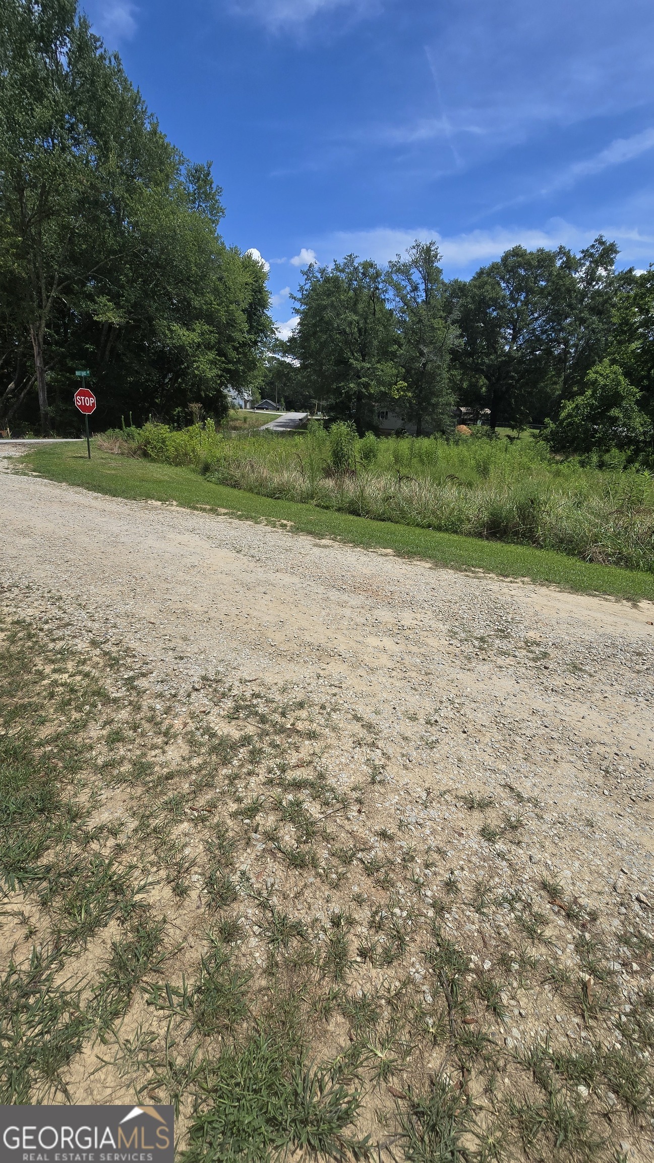 a view of a road with a yard