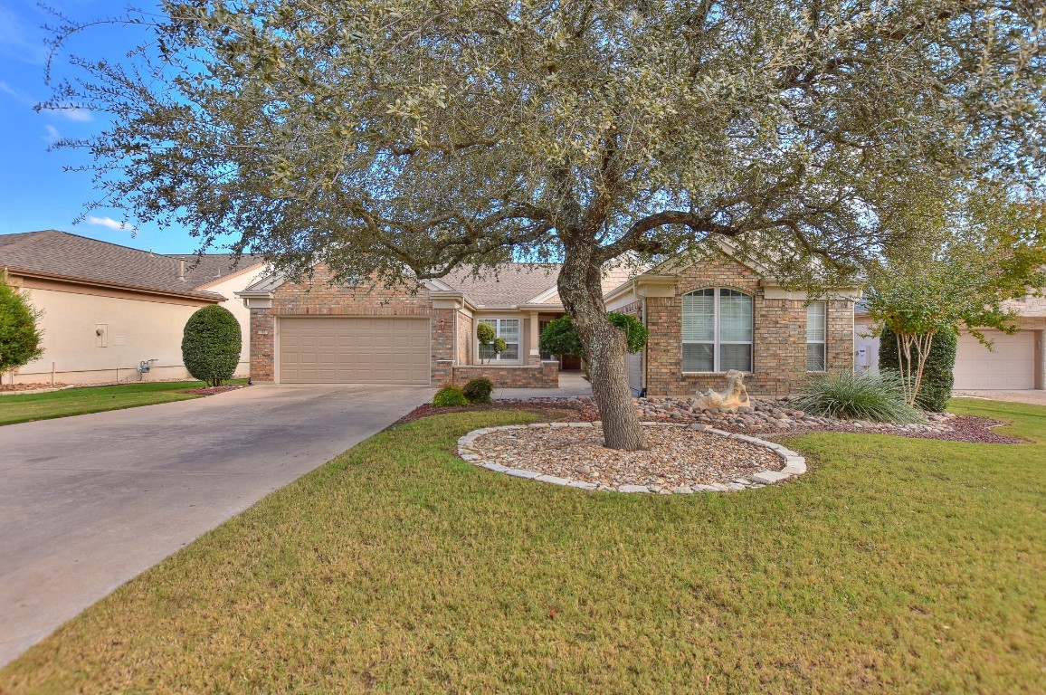 a front view of a house with a yard garage and a tree