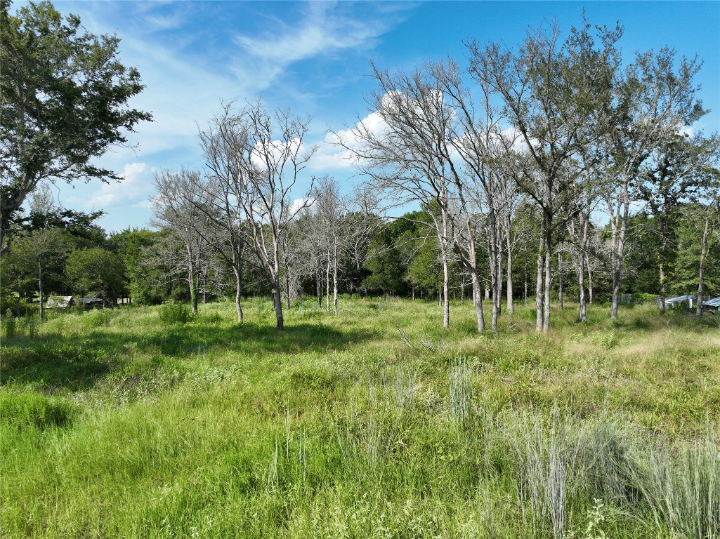 a view of a backyard with a trees