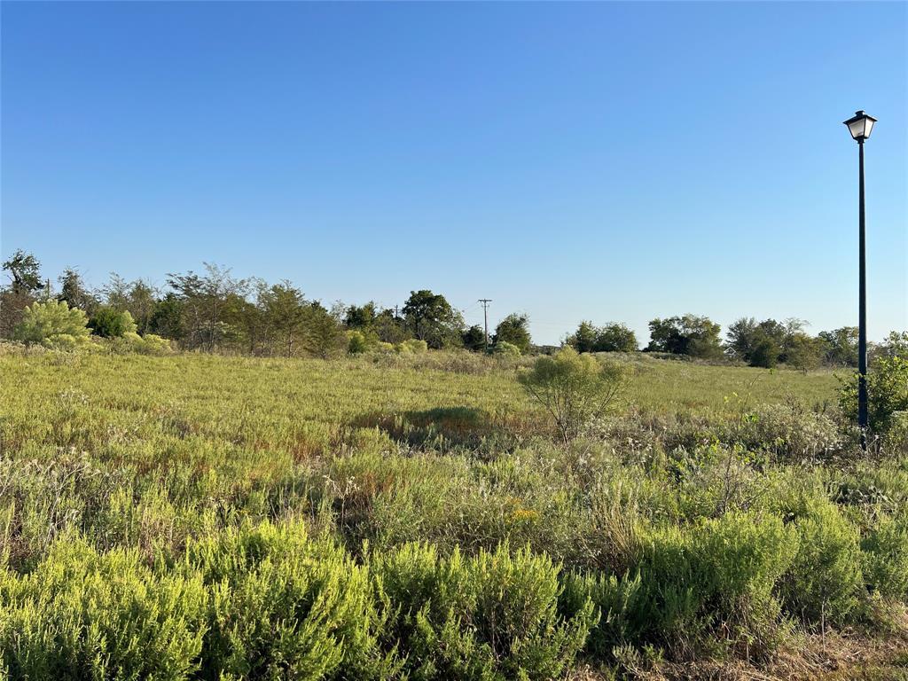 a view of a field with an ocean view